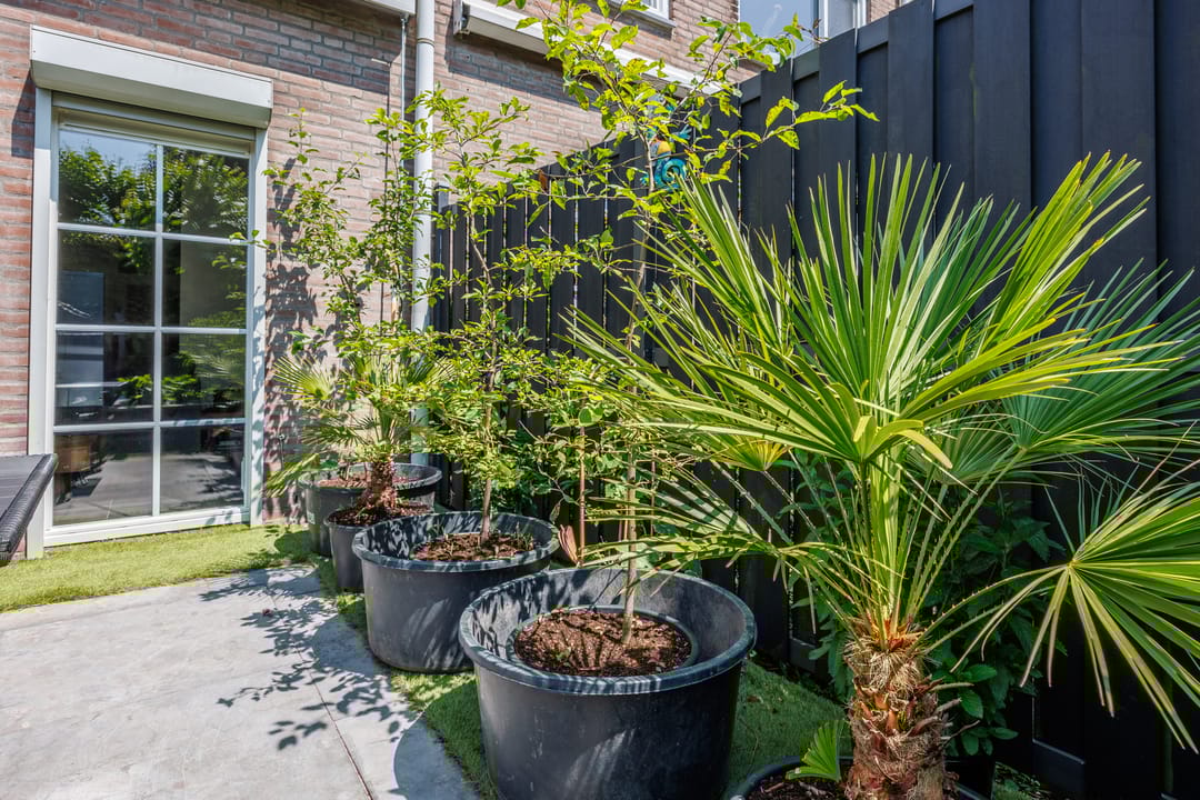 Foto 47 van Wagenmaker 12