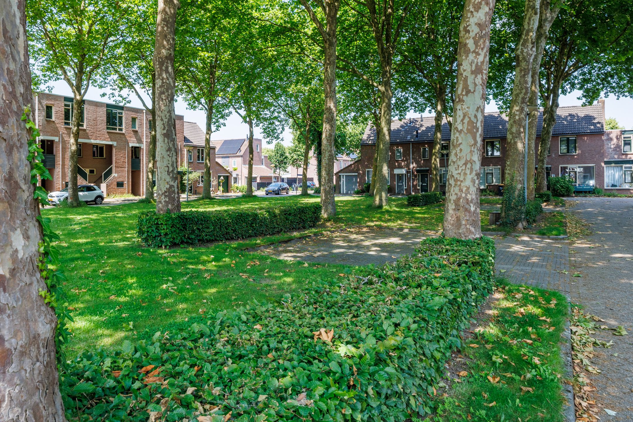 Foto 54 van Wagenmaker 12