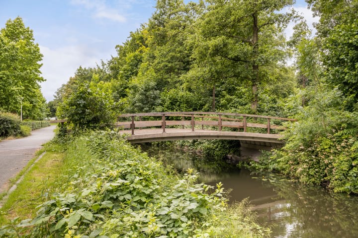 Foto 41 van Schaapherder 17