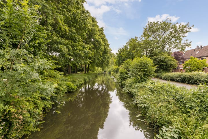 Foto 43 van Schaapherder 17