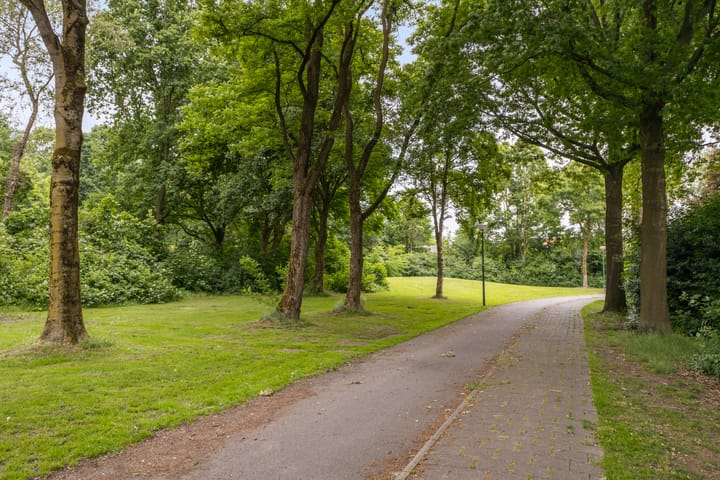 Foto 44 van Schaapherder 17