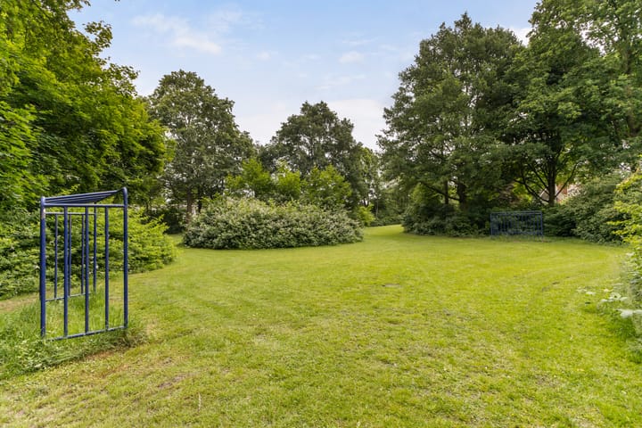 Foto 45 van Schaapherder 17