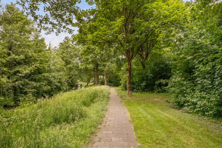 Foto 47 van Schaapherder 17