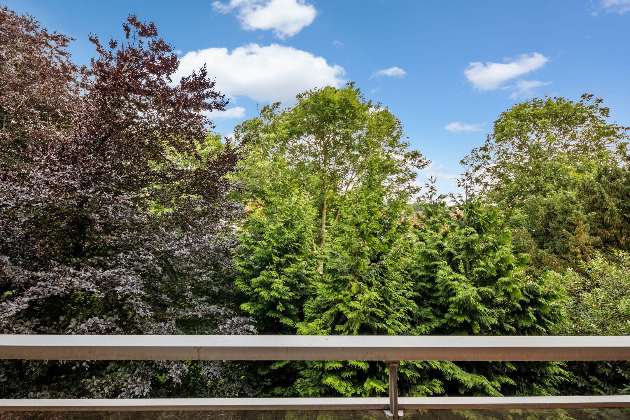 Foto 27 van Franciscusberg 56