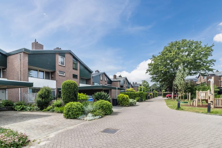 Foto 48 van de Wilgen 42