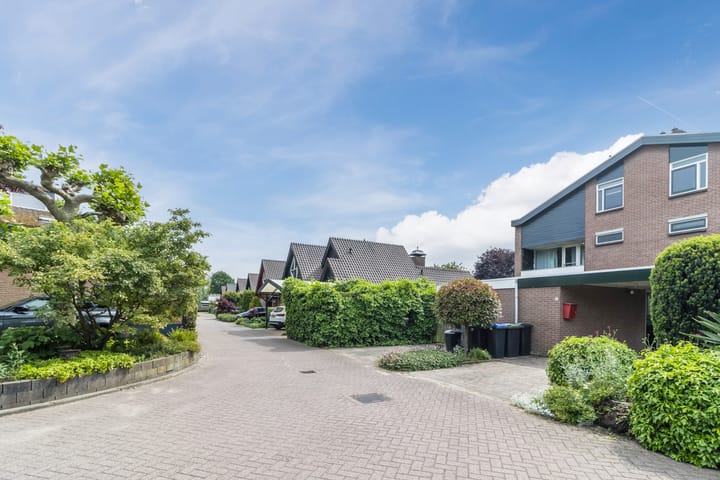 Foto 49 van de Wilgen 42