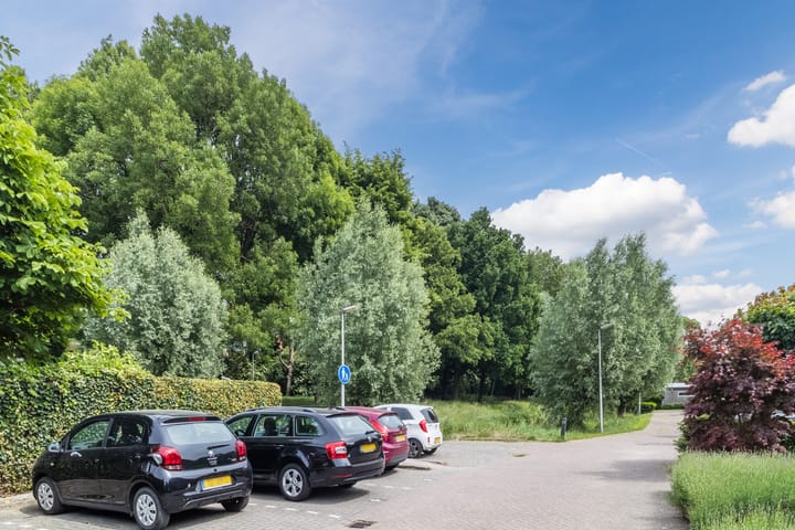 Foto 50 van de Wilgen 42