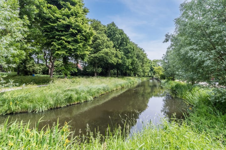 Foto 53 van de Wilgen 42