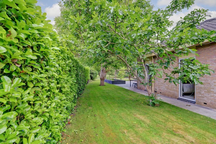 Foto 5 van Grevelingenhout 51