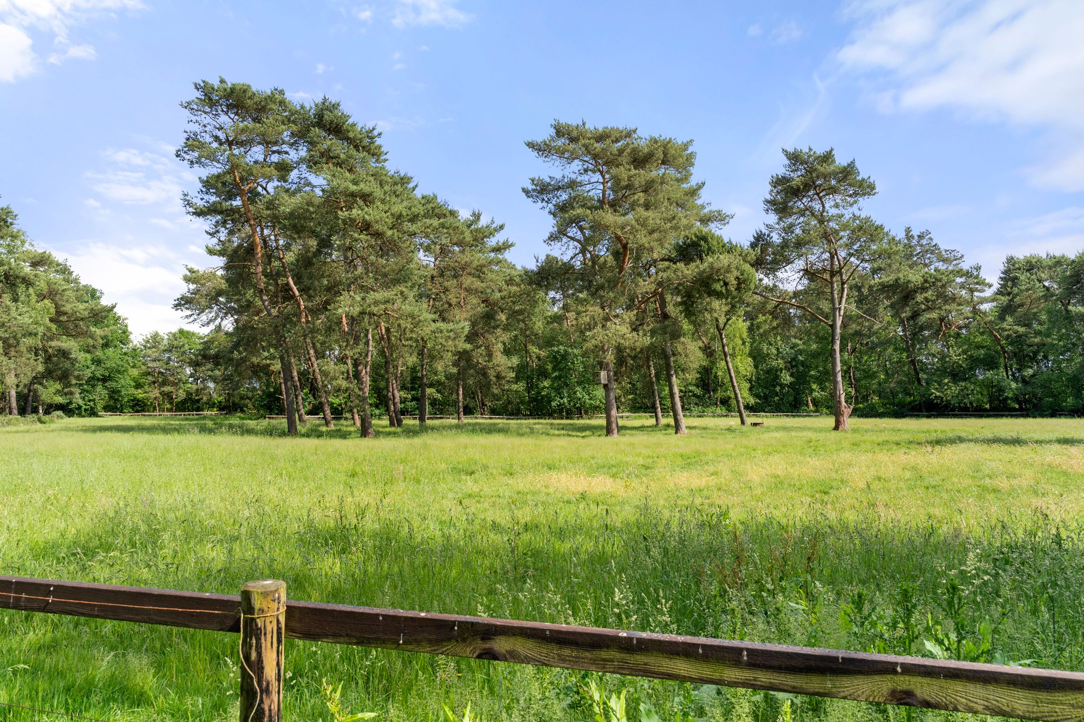 Foto 3 van Kruislaan 3