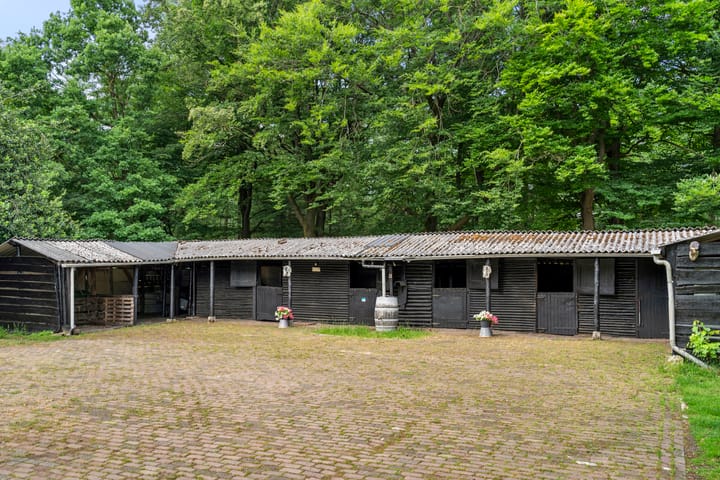 Foto 4 van Kruislaan 3