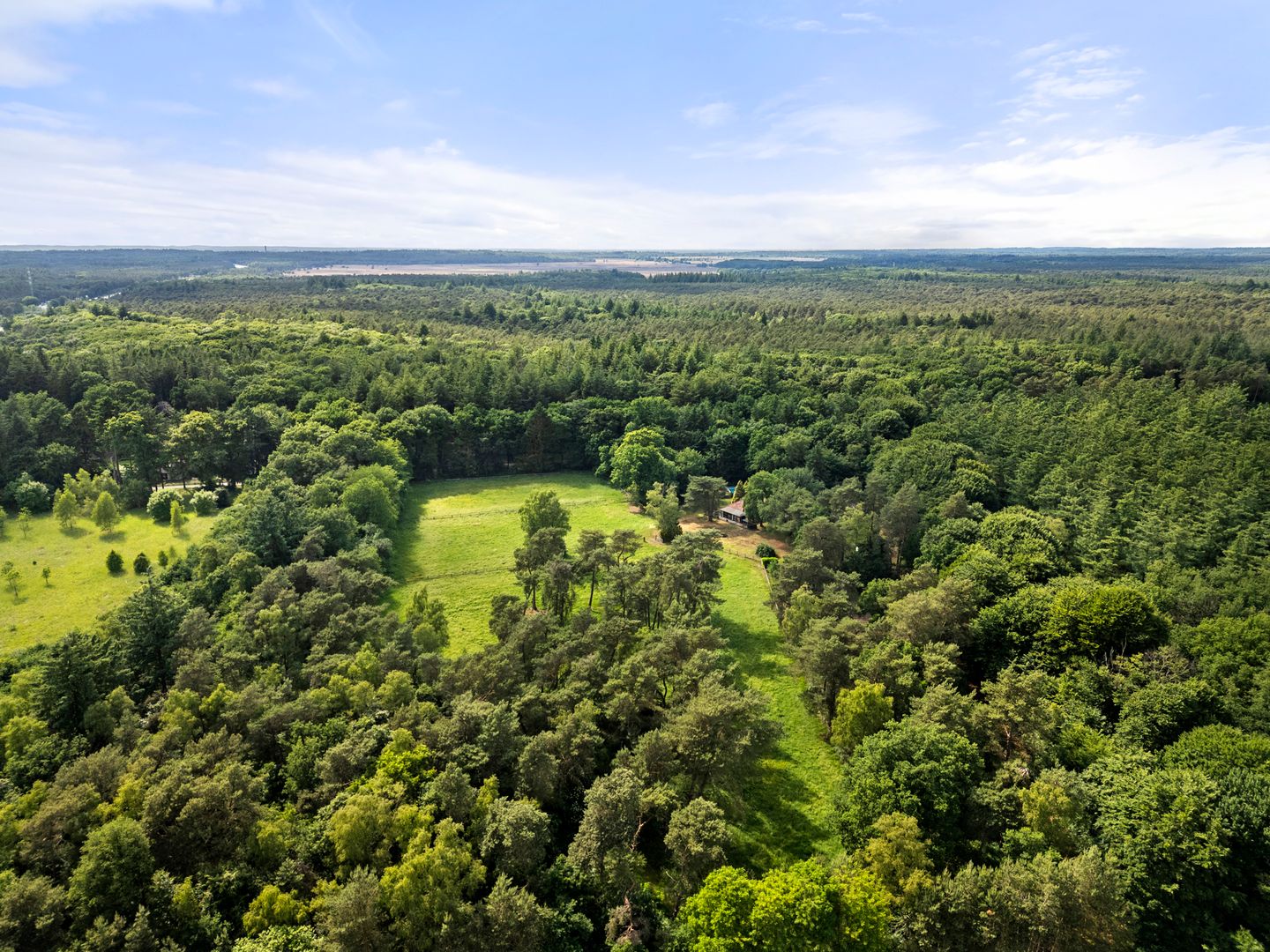 Foto 14 van Kruislaan 3