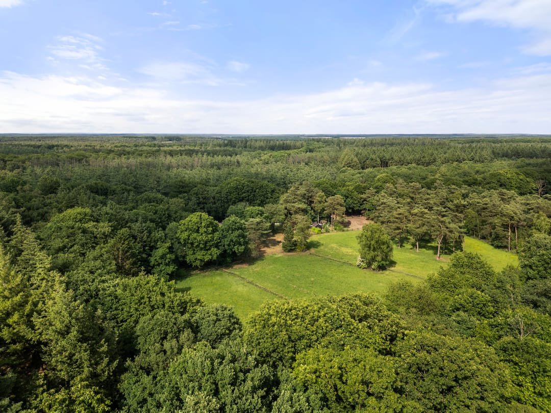 Foto 16 van Kruislaan 3