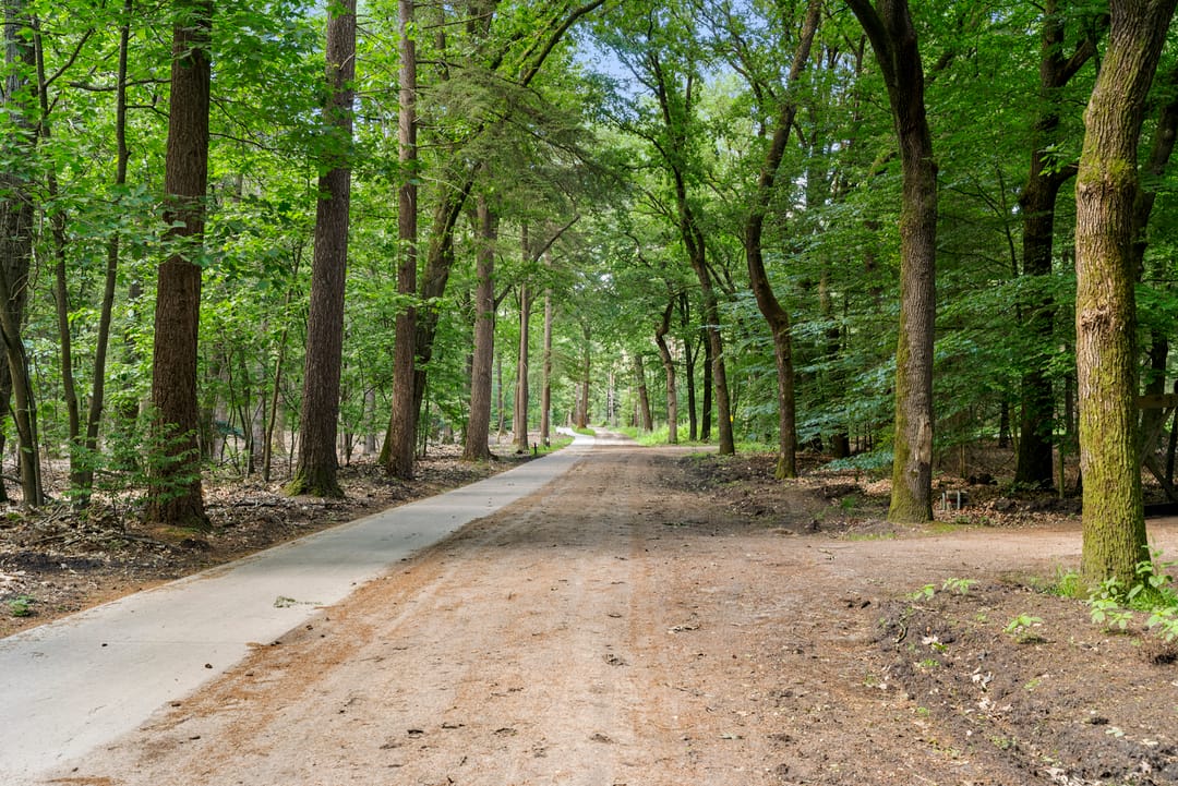 Foto 17 van Kruislaan 3