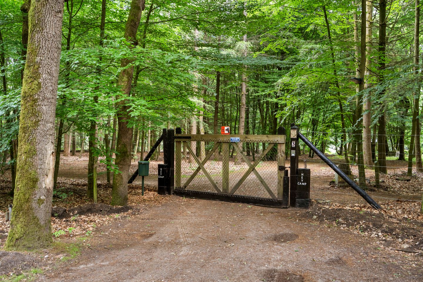 Foto 20 van Kruislaan 3