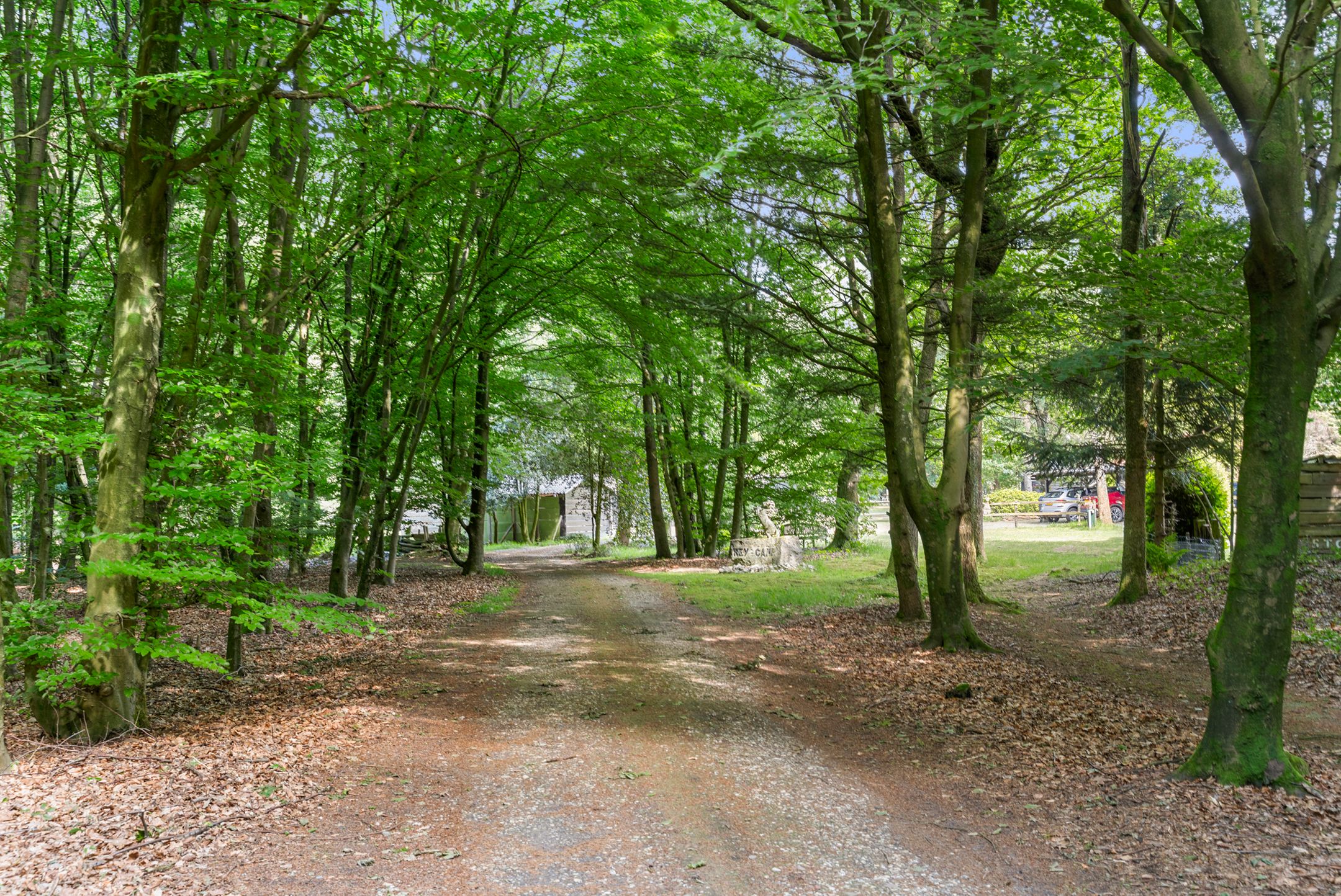 Foto 21 van Kruislaan 3