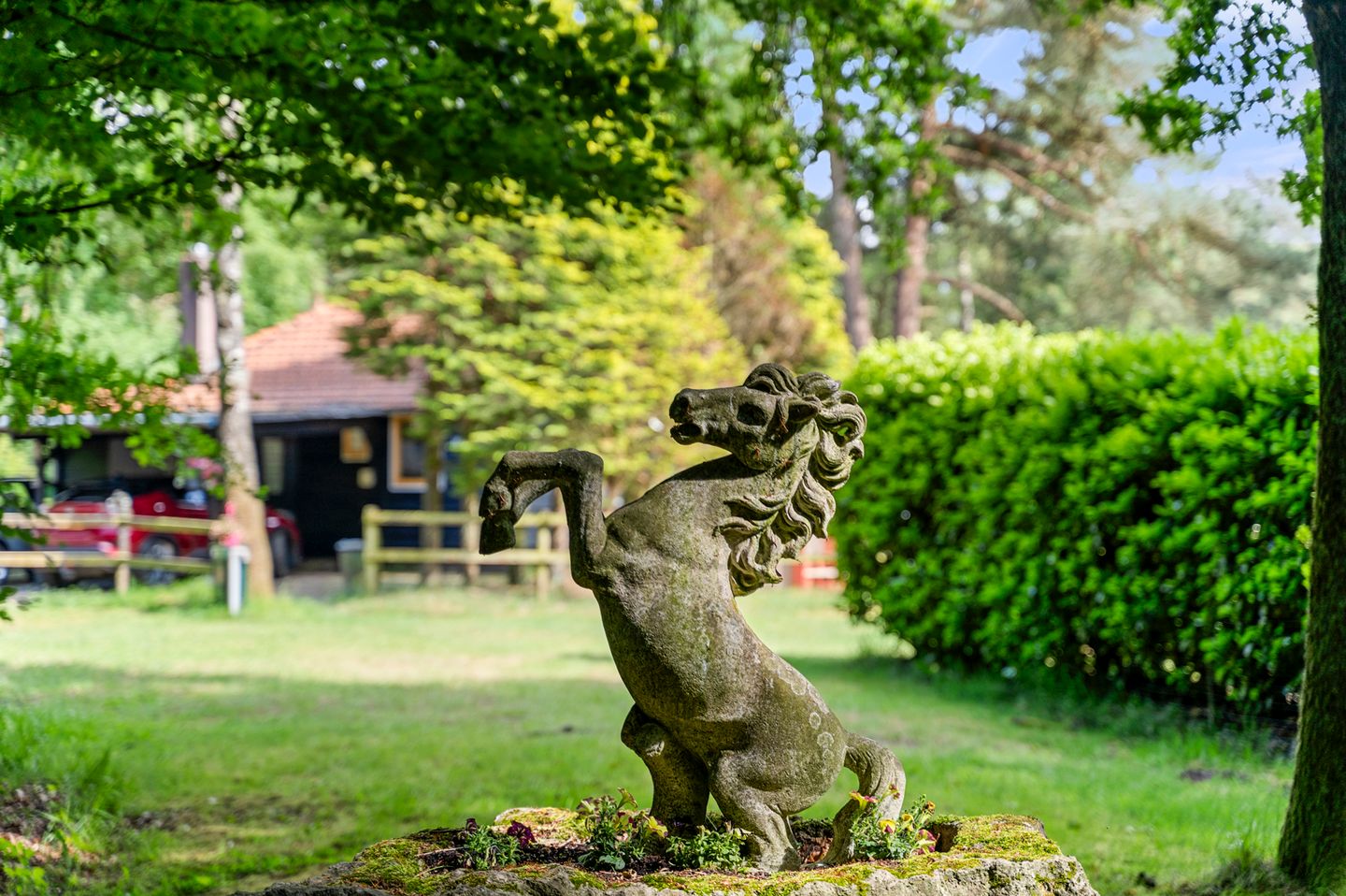 Foto 25 van Kruislaan 3