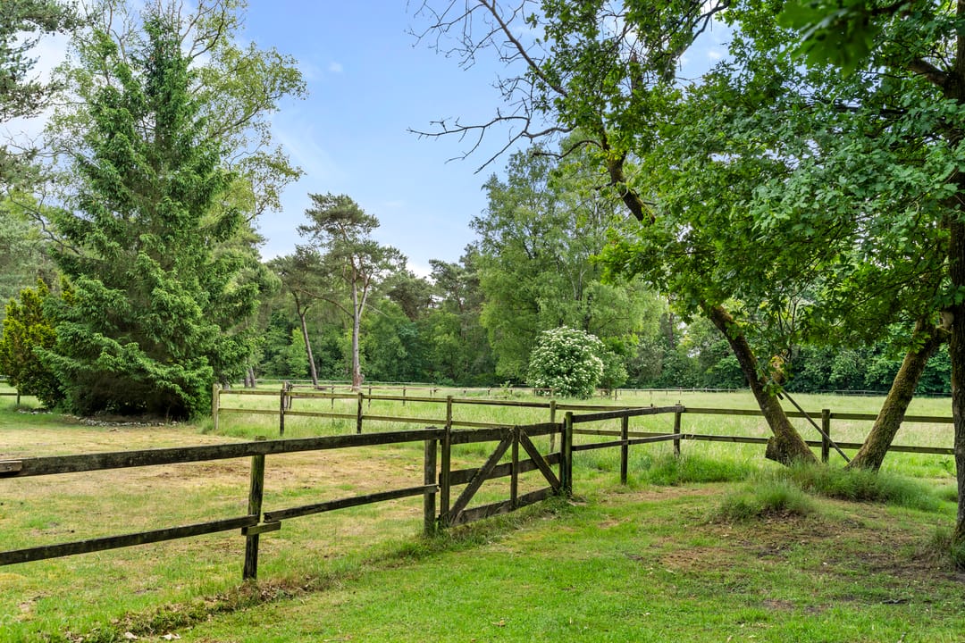 Foto 31 van Kruislaan 3