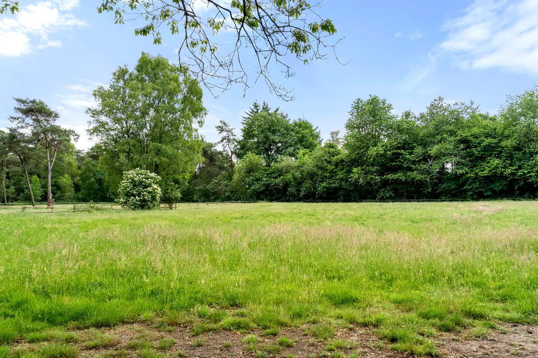 Foto 32 van Kruislaan 3