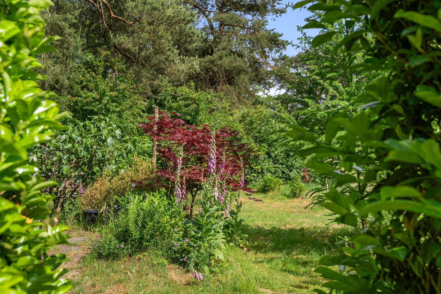 Foto 40 van Kruislaan 3