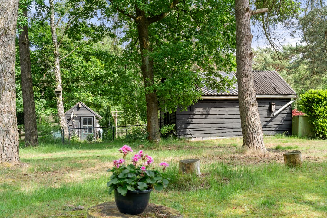 Foto 41 van Kruislaan 3