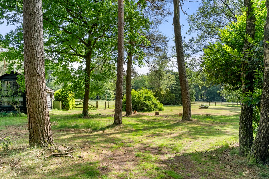 Foto 43 van Kruislaan 3