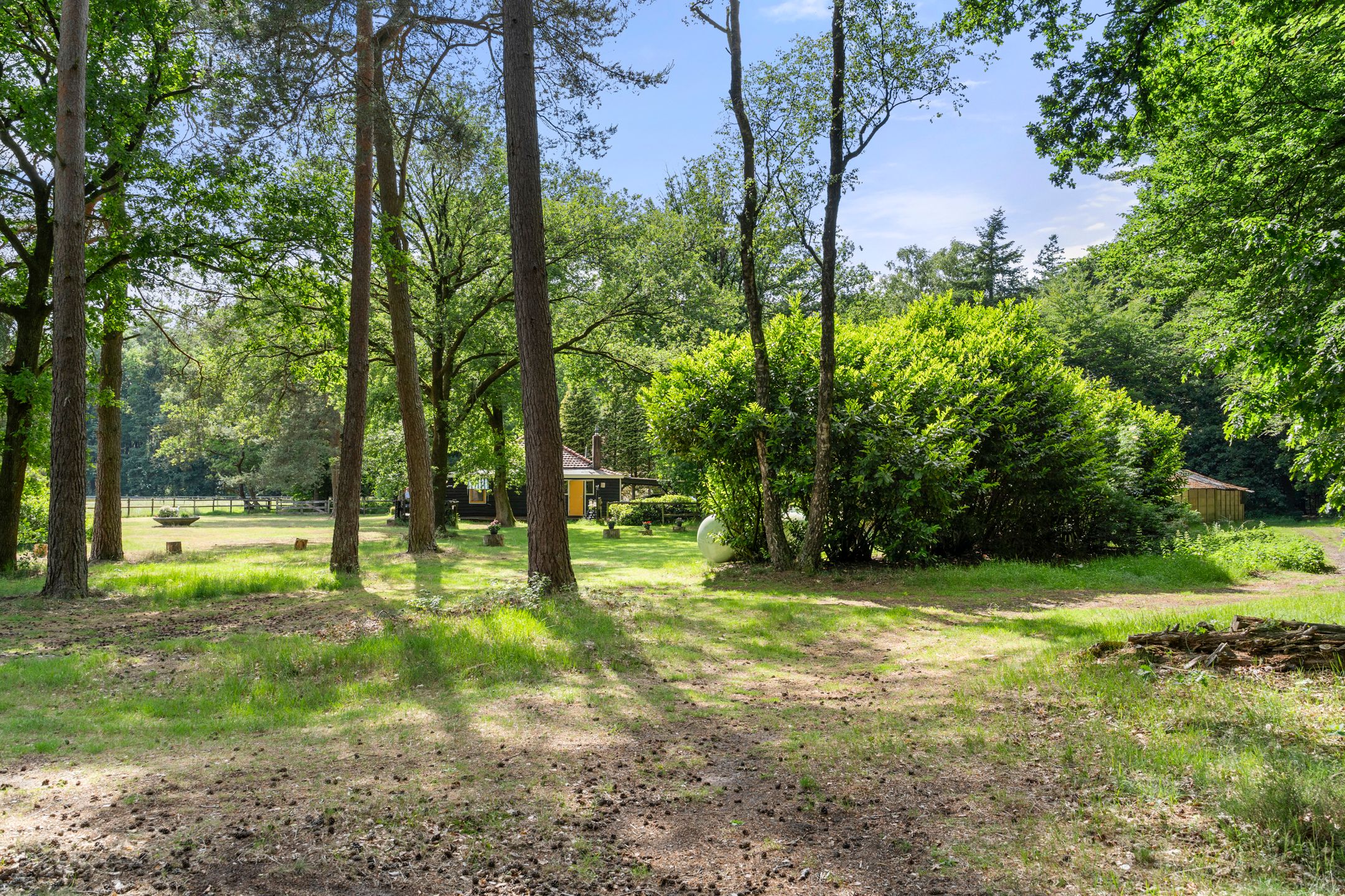 Foto 45 van Kruislaan 3