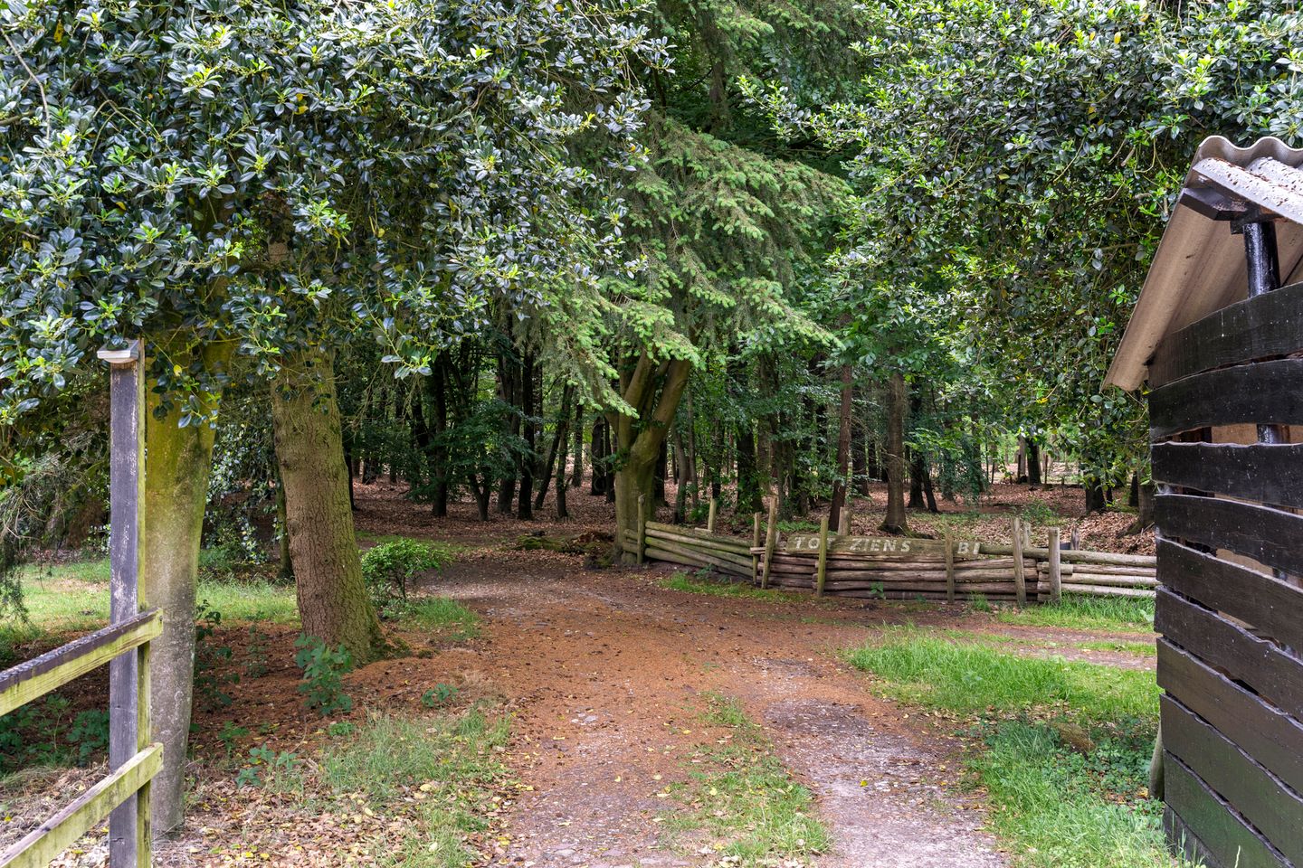 Foto 50 van Kruislaan 3