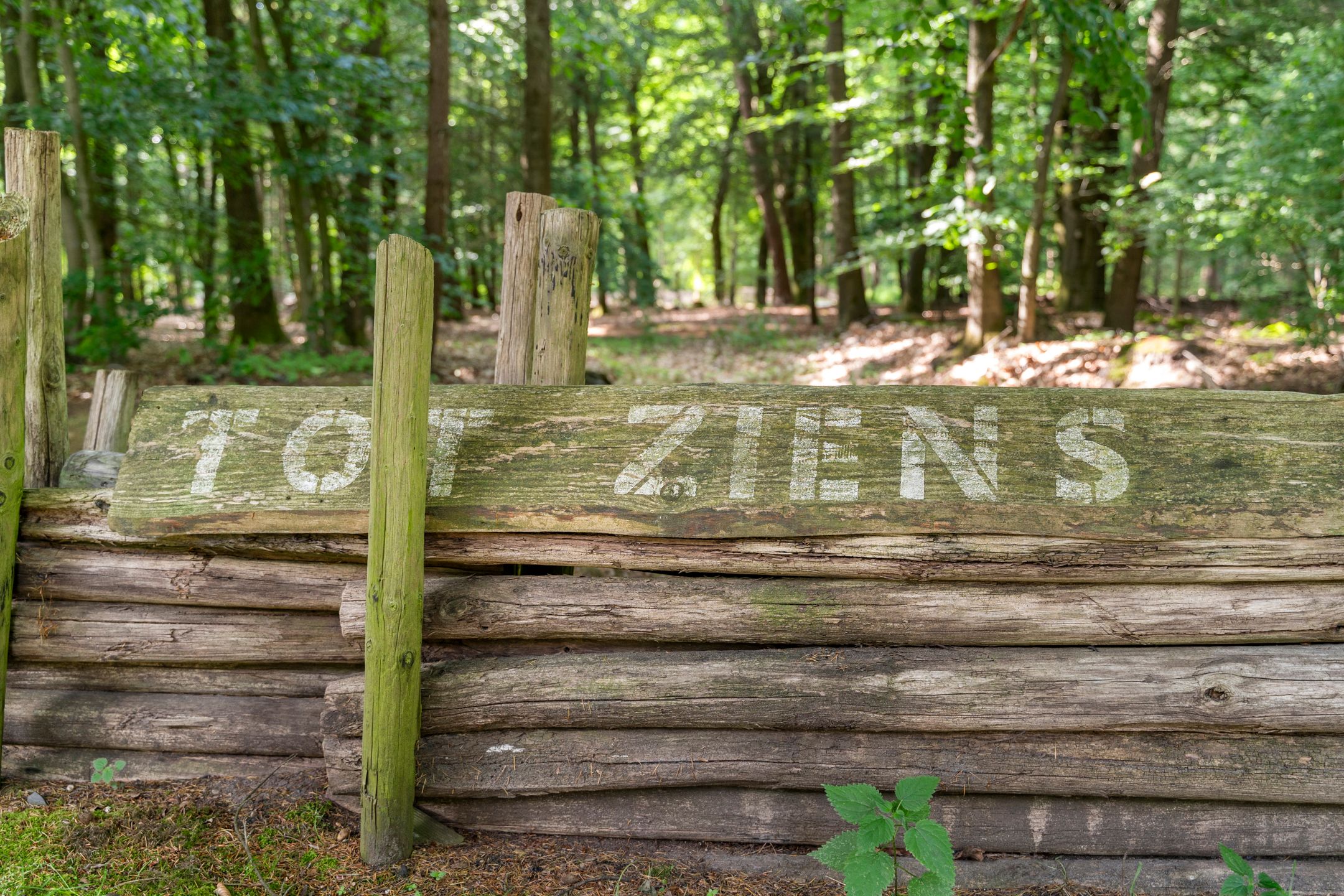 Foto 51 van Kruislaan 3