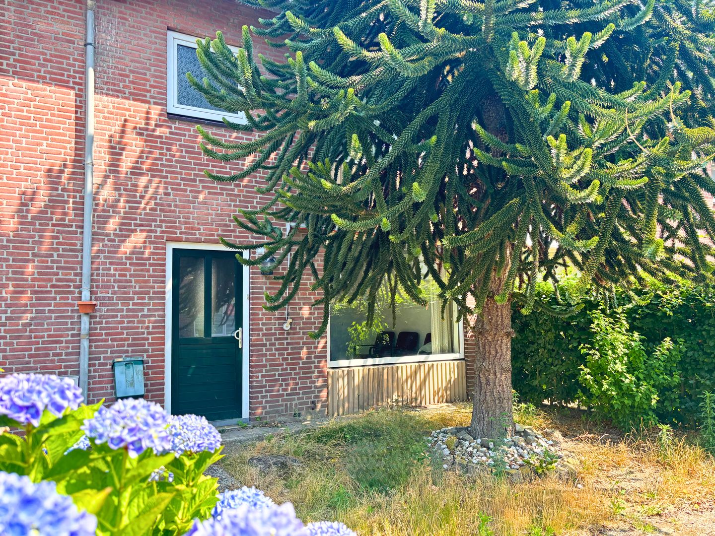 Foto 10 van Adonispad 9