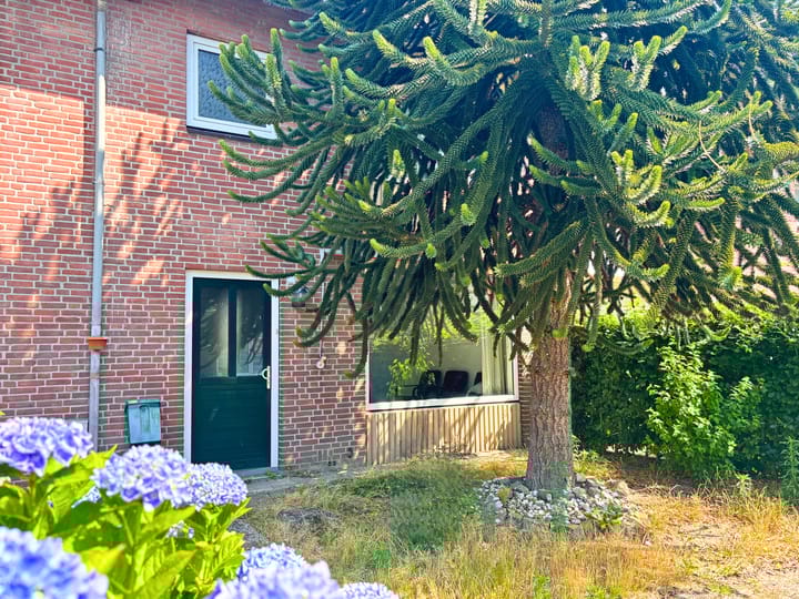 Foto 10 van Adonispad 9