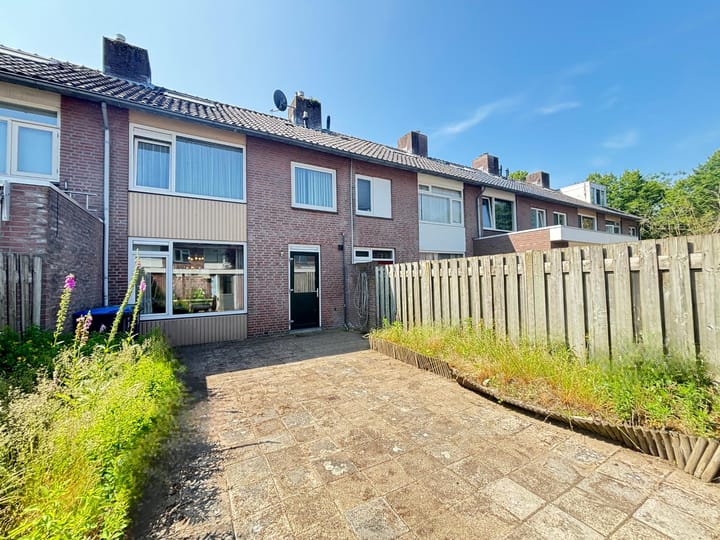 Foto 8 van Adonispad 9