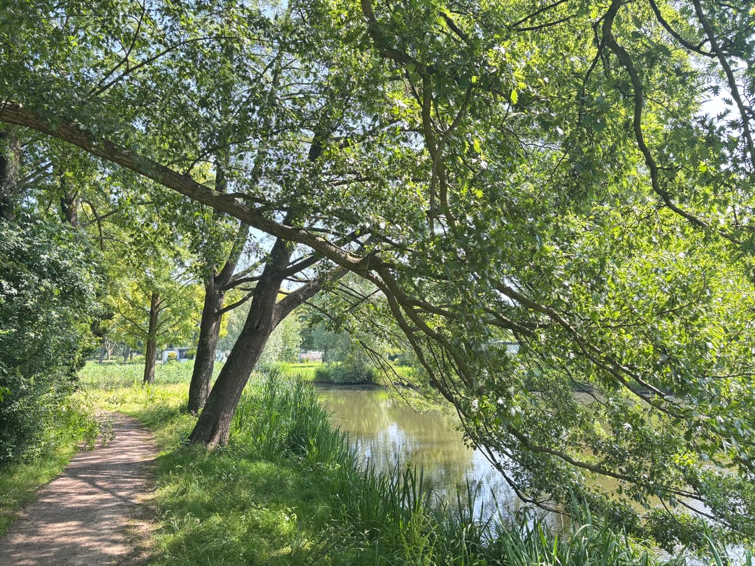 Foto 32 van Adonispad 9