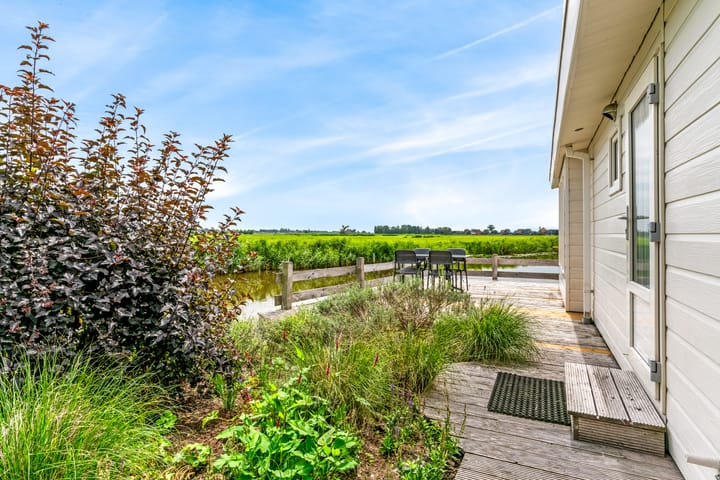 Photo 24 of Burgemeester Dalenbergstraat 50-530B