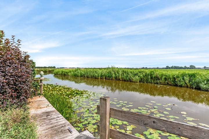 Photo 29 of Burgemeester Dalenbergstraat 50-530B