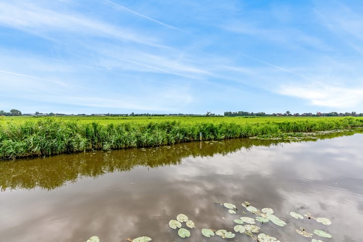 Photo 30 of Burgemeester Dalenbergstraat 50-530B