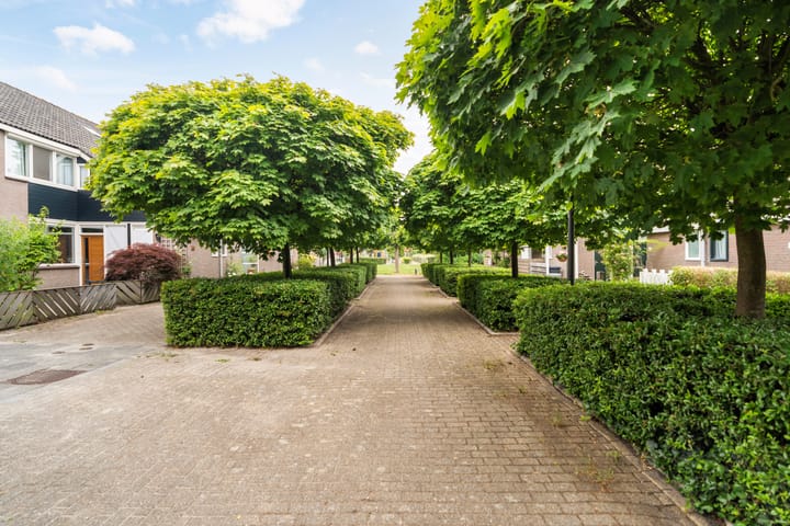 Foto 43 van Echtpaar Curiedreef 9