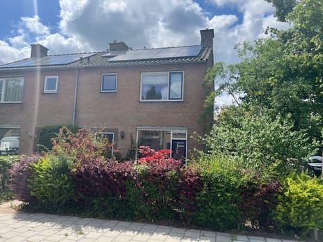 undefined main image