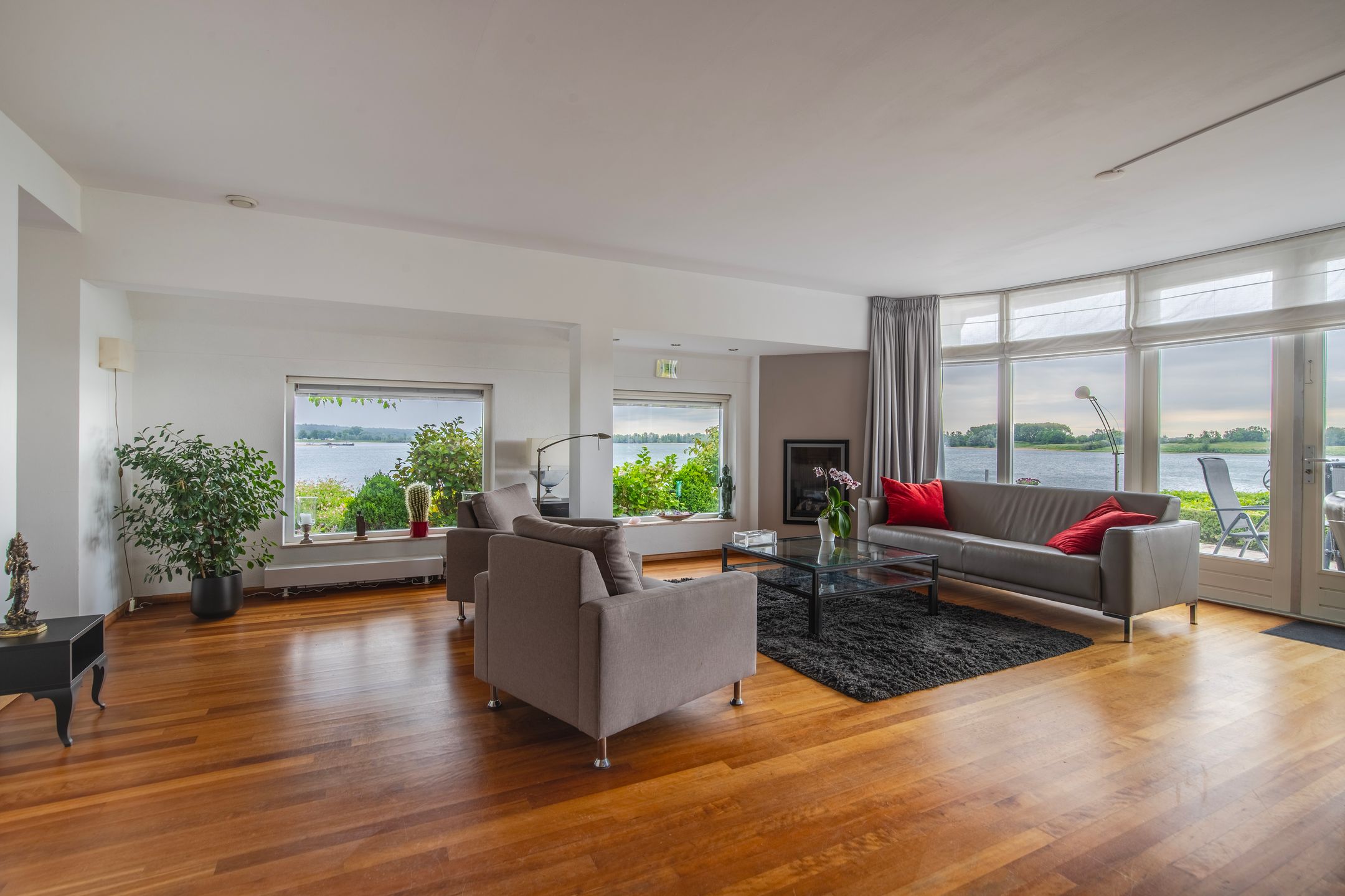 Foto 3 van IJsvogel 65