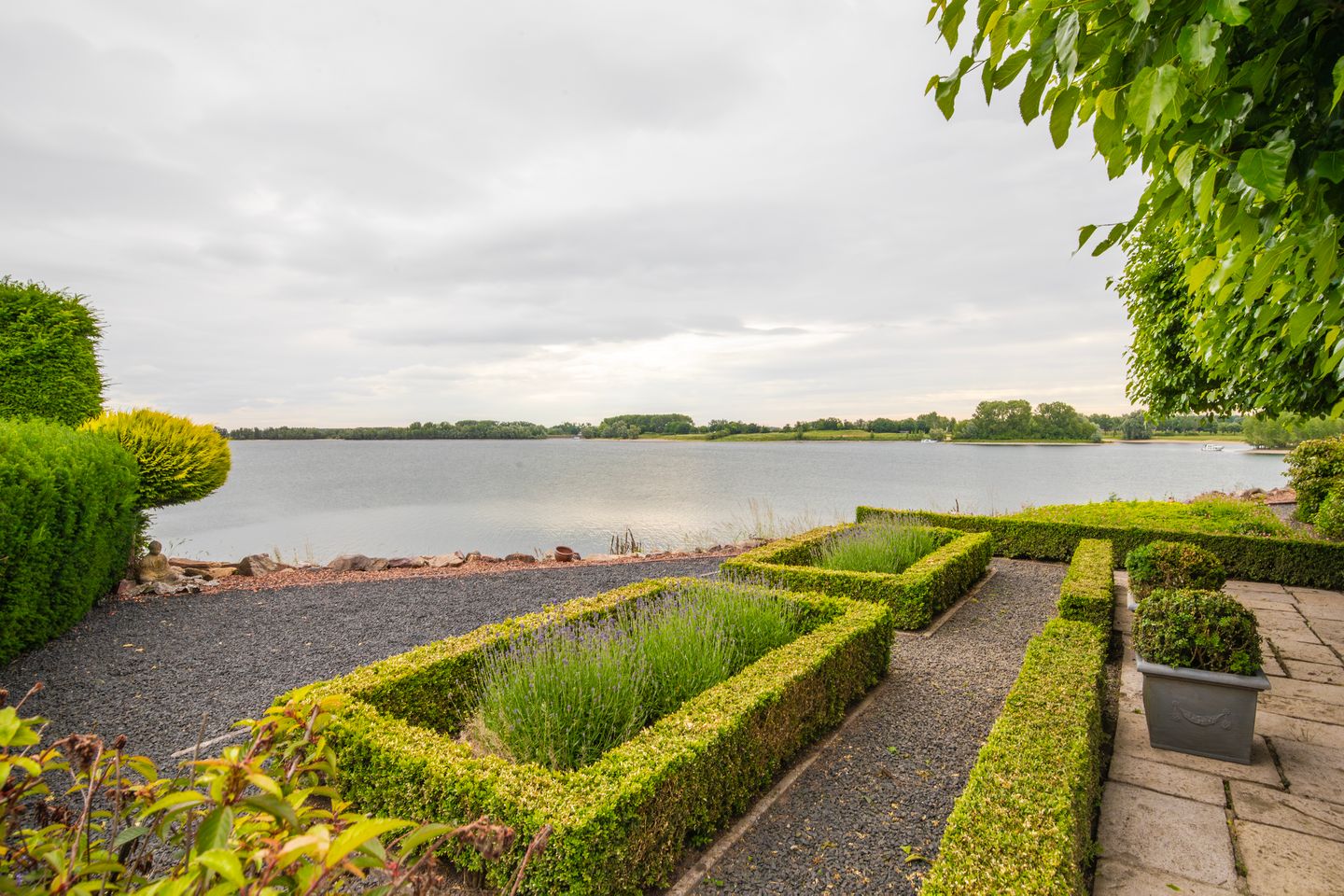 Foto 5 van IJsvogel 65