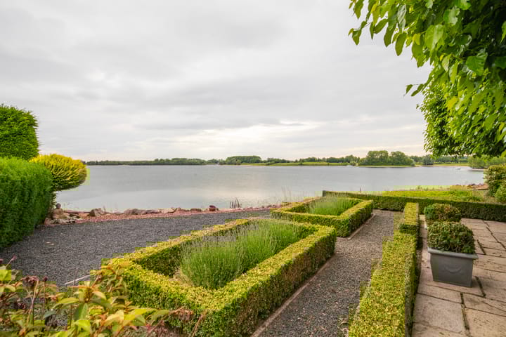 Foto 5 van IJsvogel 65