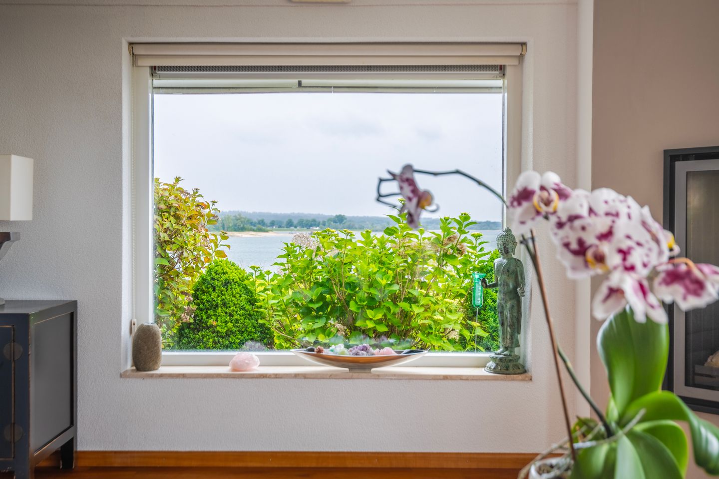 Foto 10 van IJsvogel 65