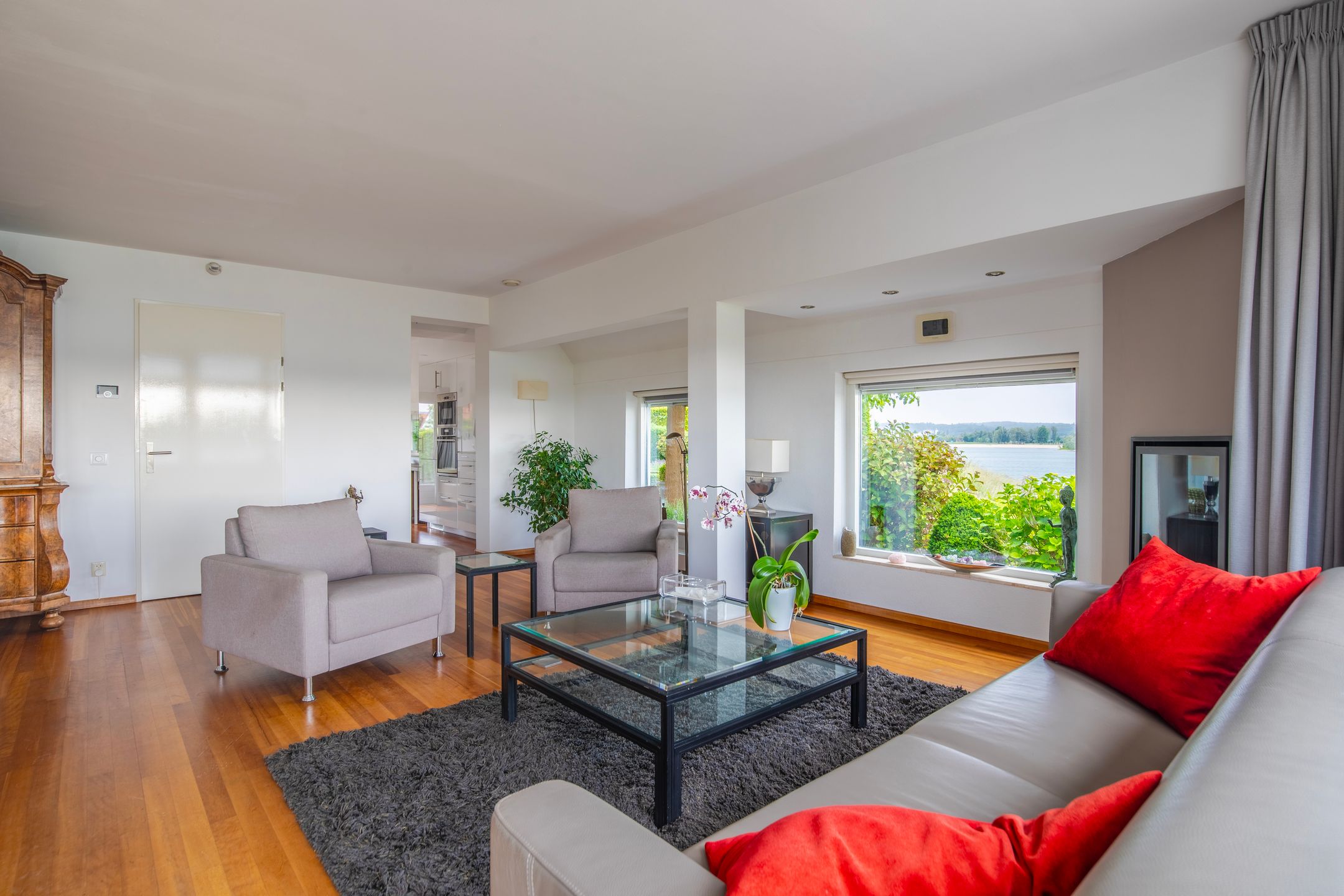 Foto 12 van IJsvogel 65