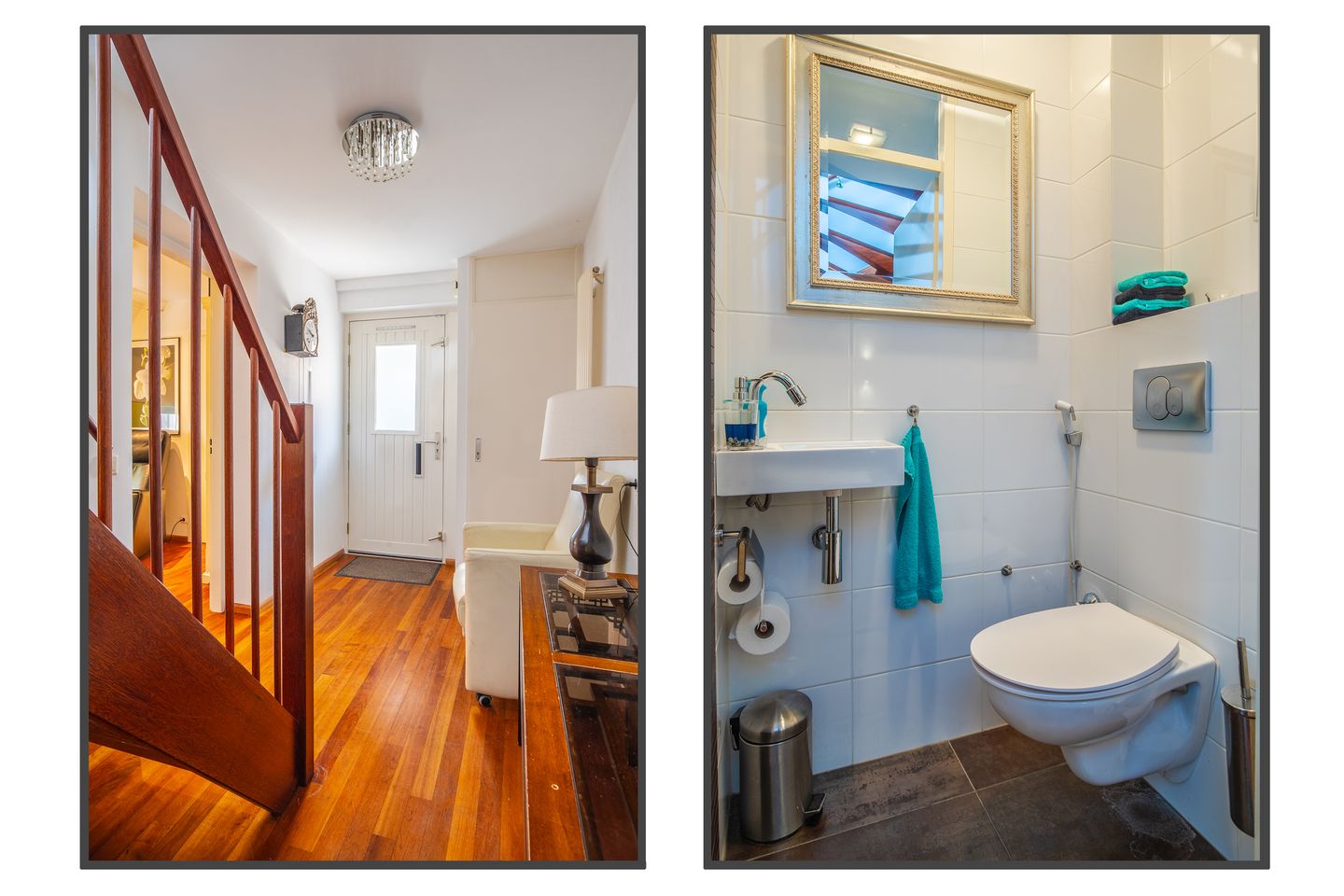 Foto 20 van IJsvogel 65