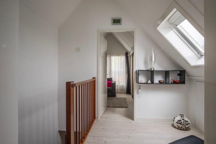 Foto 21 van IJsvogel 65