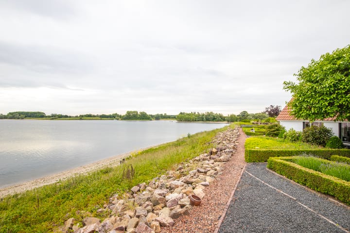 Foto 30 van IJsvogel 65