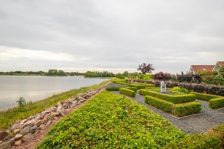 Foto 33 van IJsvogel 65