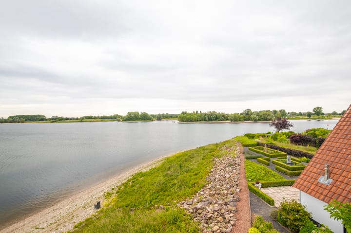 Foto 35 van IJsvogel 65