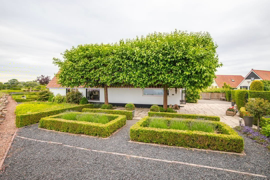 Foto 38 van IJsvogel 65