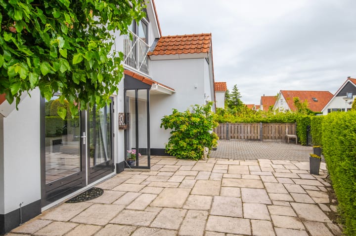 Foto 39 van IJsvogel 65